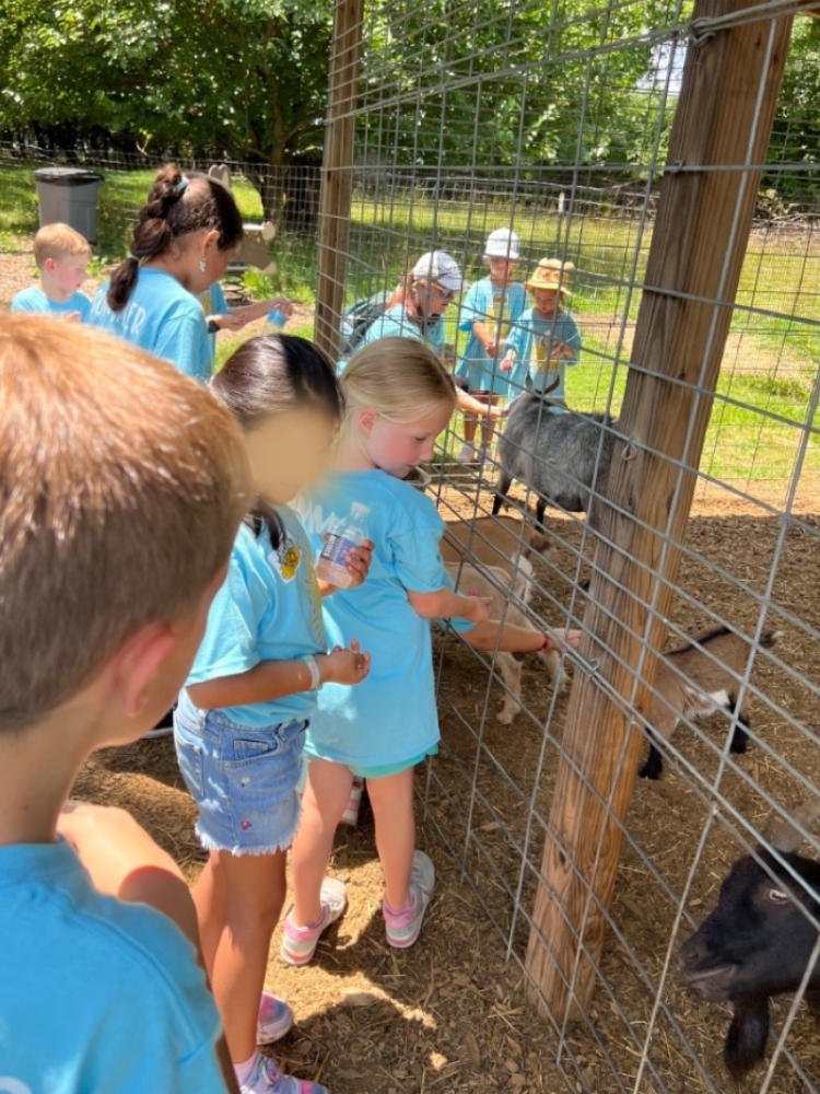 A group of children petting goatsAI-generated content may be incorrect.